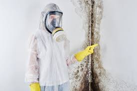 Best Mold Remediation for Vacation Homes  in USA